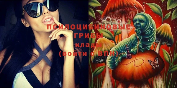 хмурый Надым