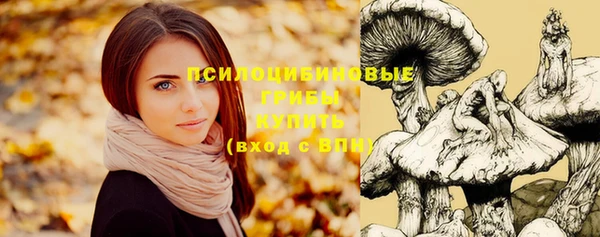 прущий лед Наволоки
