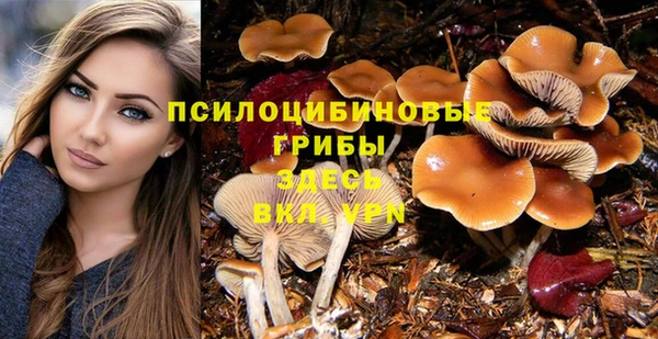 молекула духа Ростов